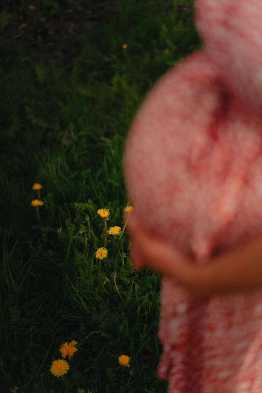 photographe-famille-poitou-charentes