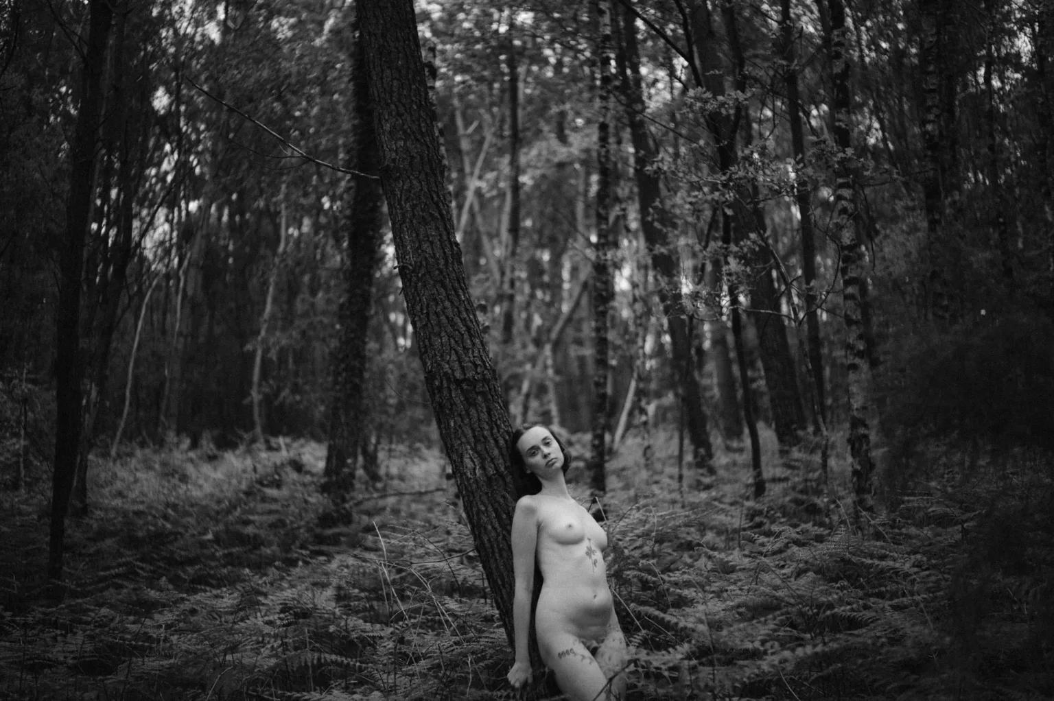 photographe nu la rochelle