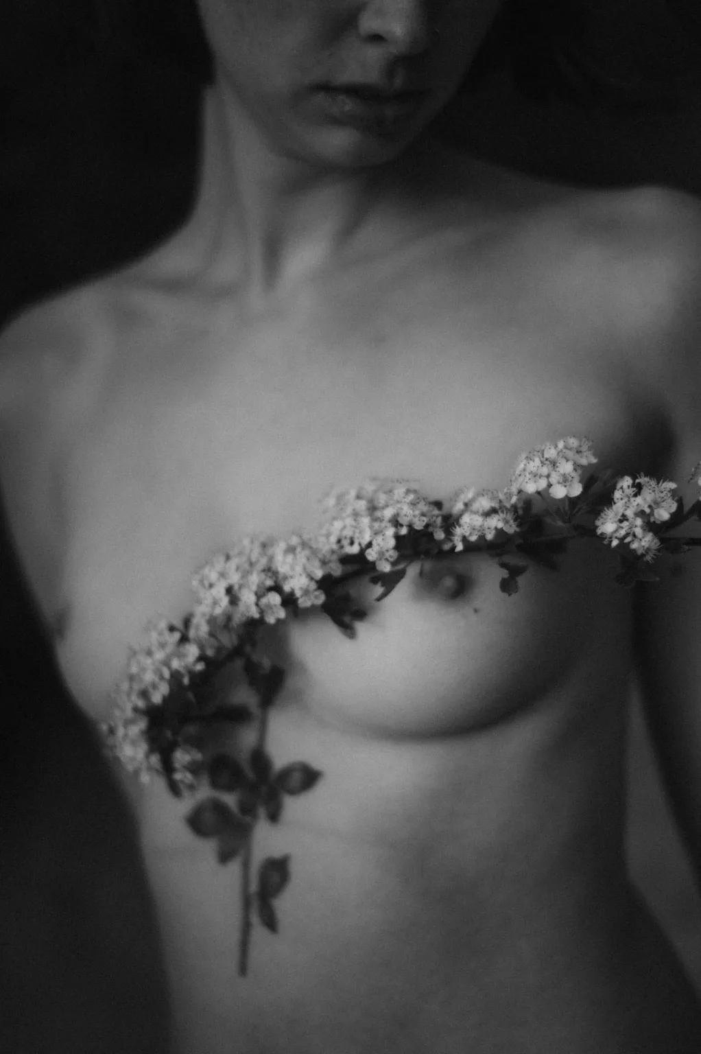 photographe nu la rochelle