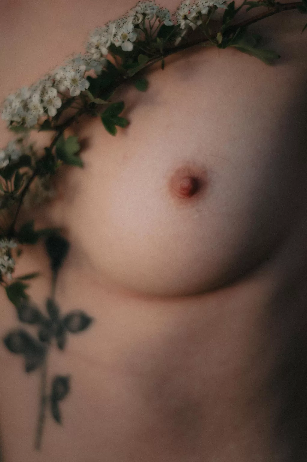 photographe nu la rochelle