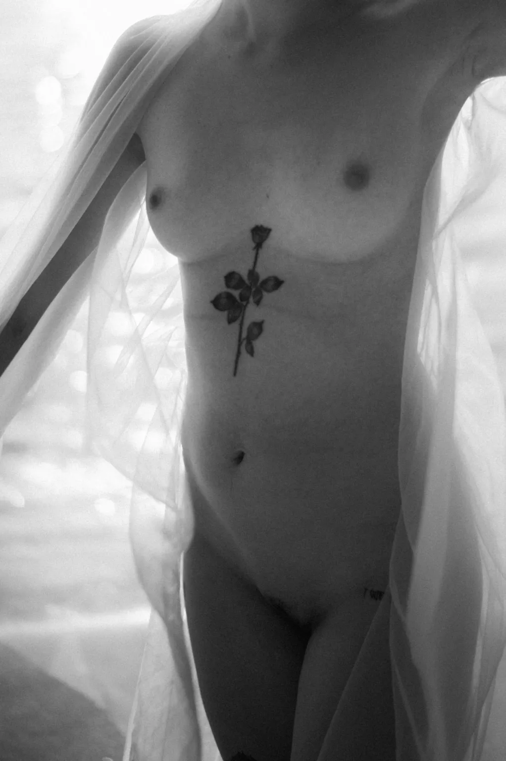 photographe nu la rochelle