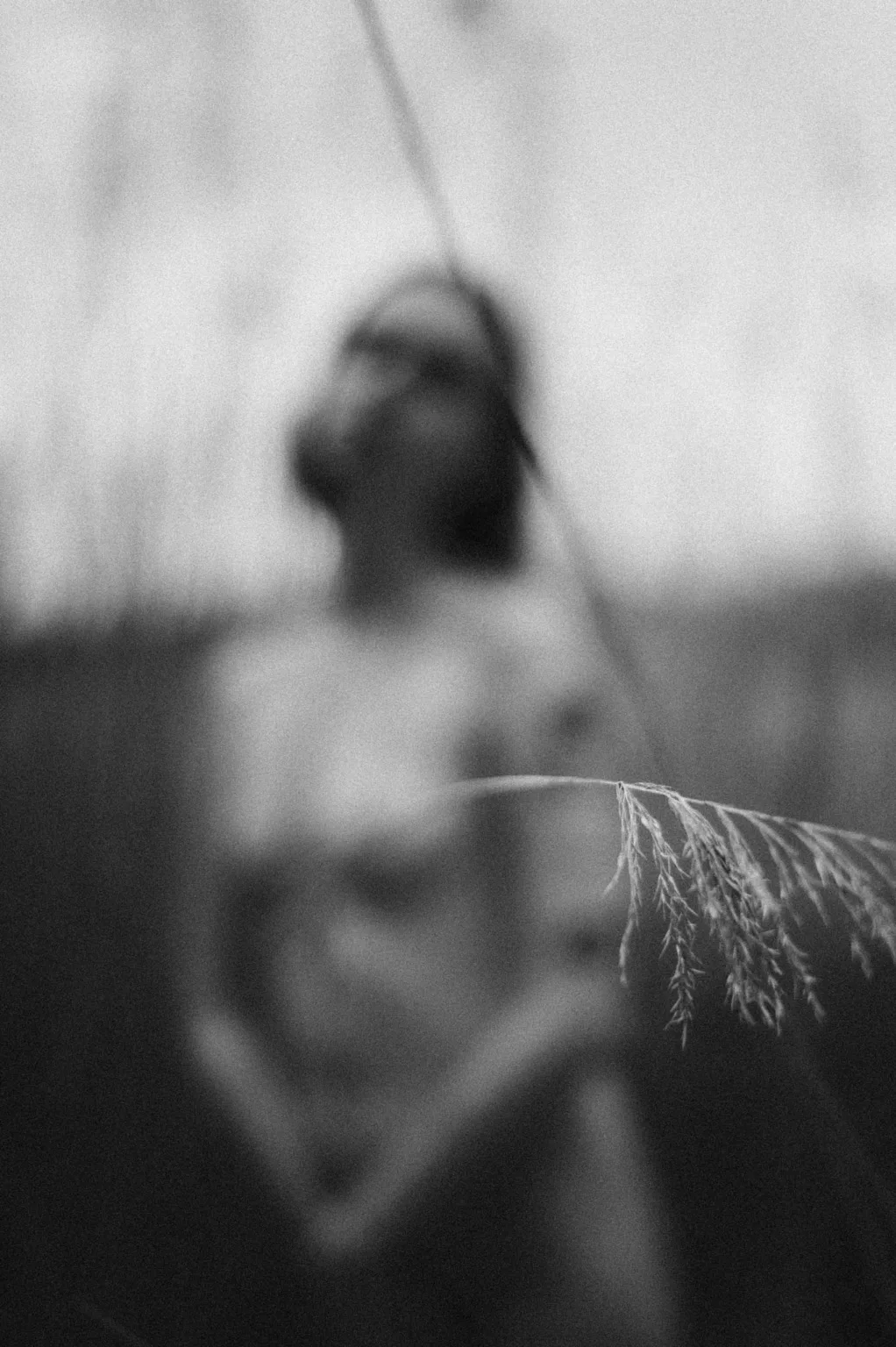 photographe nu la rochelle