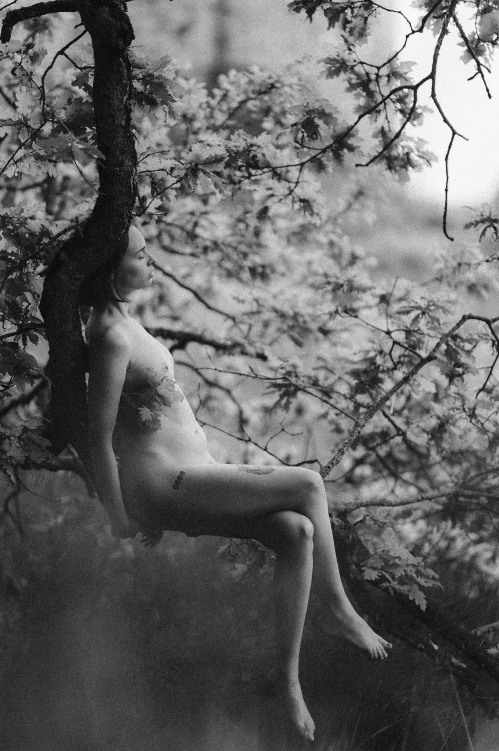 photographe nu la rochelle