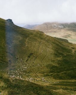 Le tour du Puy de Sancy par l'Est
Une maxi choupette à mes côtés, des meuhmeuh qu'on rêve de caresser, un patou en colère, les 4 saisons en une journée et des paysages qui font rêver 💫