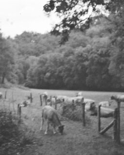 Entre l'Aveyron, la Lozère et les Bouches-du-Rhône. Tantôt sur le Tarn tantôt sur la Méditerranée, le sud m'a comblée durant mon été ✨
Un peu de noir et blanc pour changer des habituelles couleurs estivales, à contre courant vous dites ?