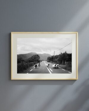 Divagations moutonnesques