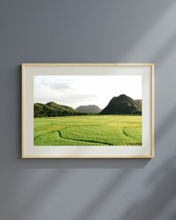 Phong Nha