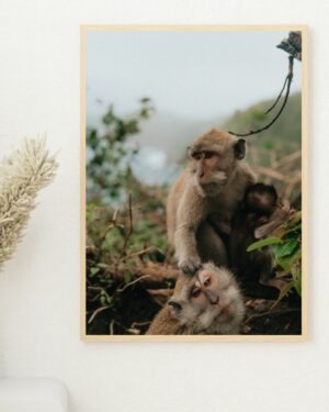 Portraits de famille