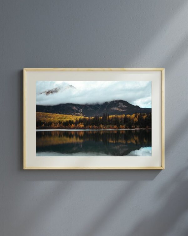 Reflets naturels