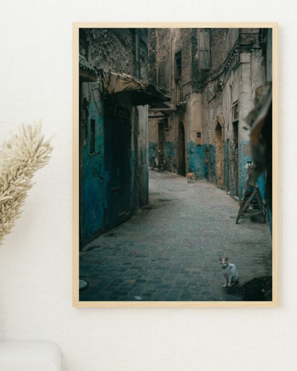 Rue des chats