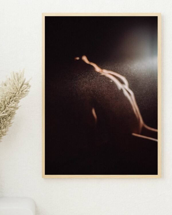 Silhouette