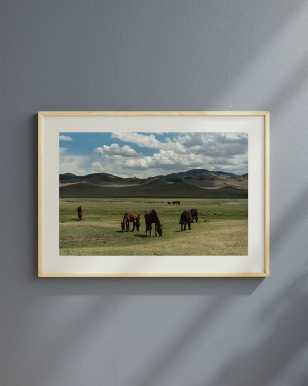 Steppes