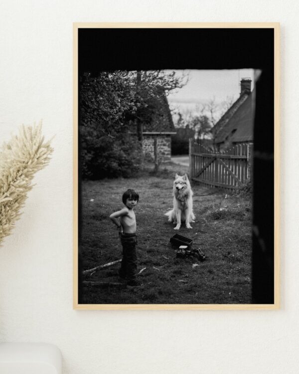 Le garçon et le chien