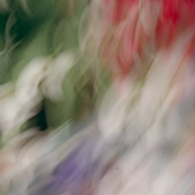 photographe-celebration-la-rochelle-25